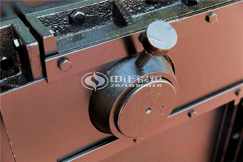 25噸燃生物質(zhì)導熱油爐品牌