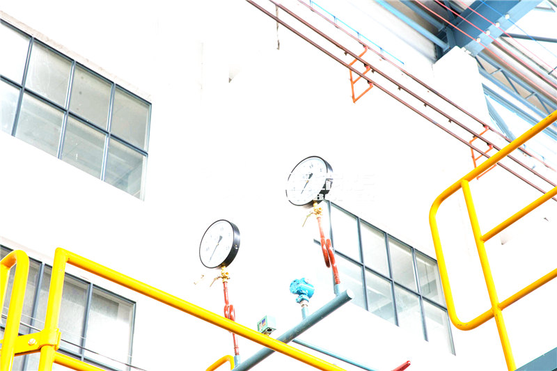 20T燃生物質(zhì)導熱油爐多少錢合適