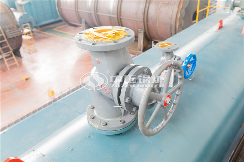 4T燃生物質(zhì)導(dǎo)熱油爐多少錢一臺(tái)