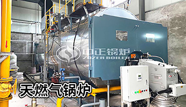 生物質鍋爐十大名牌