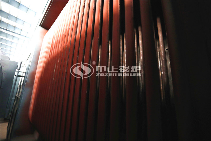 15T燃生物質(zhì)導(dǎo)熱油鍋爐出廠價(jià)